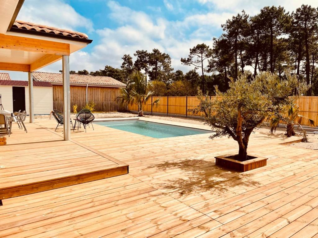 Villashomeclet - Villa Palm Beach Vensac Exteriör bild
